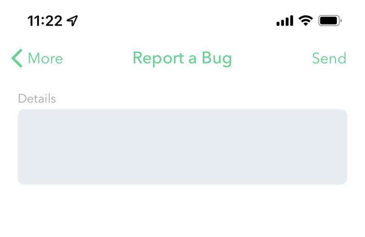 more-report-a-bug.png